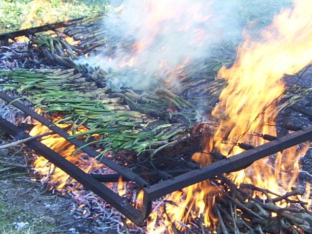 CALÇOTS FOC